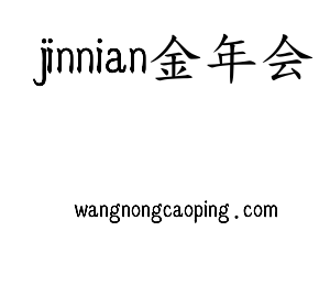 深圳市jinnianhui今年会网络科技有限公司logo