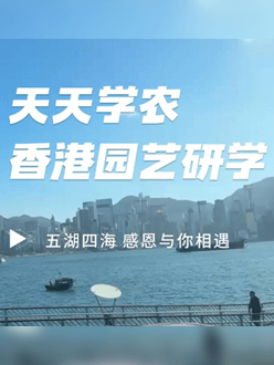 与香港园艺学会联合举办香港园艺研学，专业园境师带队讲解。