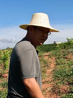 农业人叶涛，50多岁通讯人跨界搞农业，他要用1000万打造一个梦。